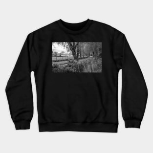 Woodland path in the English countryside Crewneck Sweatshirt